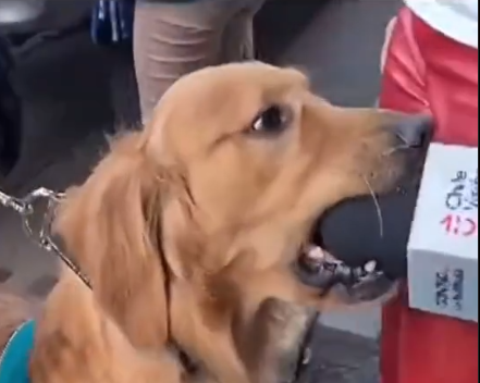 si
